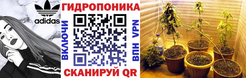 цена наркотик  Ачинск  Конопля Amnesia 